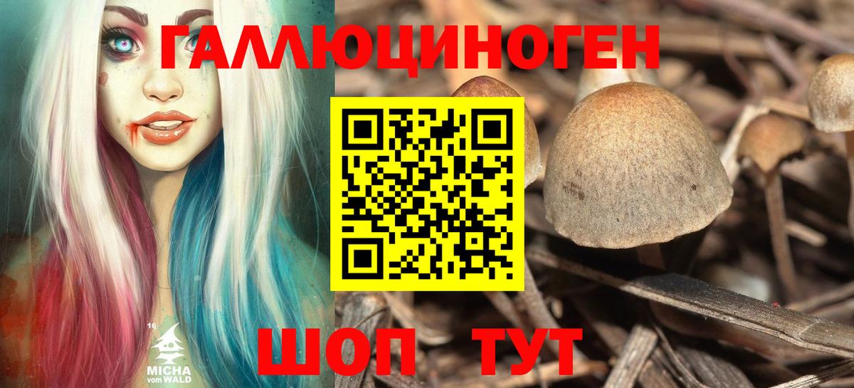 Галлюциногенные грибы мухоморы Ессентуки